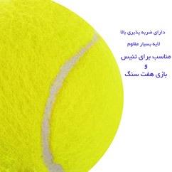 توپ تنیس SWDON 919 
SWDON 919 Tennis Ball 1 Packs thumb 11279