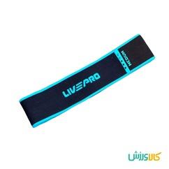 کش مینی لوپ پارچه ای خارجی لایو پرو
LIVEPRO LOOP BANDS thumb 11218