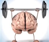 تاثیر ورزش بر عملکرد مغز چیست؟