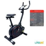 دوچرخه ثابت خانگی فدرال V270 تصویر 3