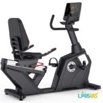 دوچرخه ثابت باشگاهی نشسته جیموست R11
