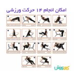 دستگاه دراز و نشست جادویی تن زیب تصویر 15